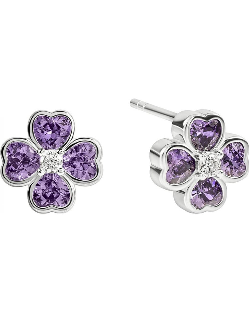 Radley Purple Ryj1565 Pair Of Earrings