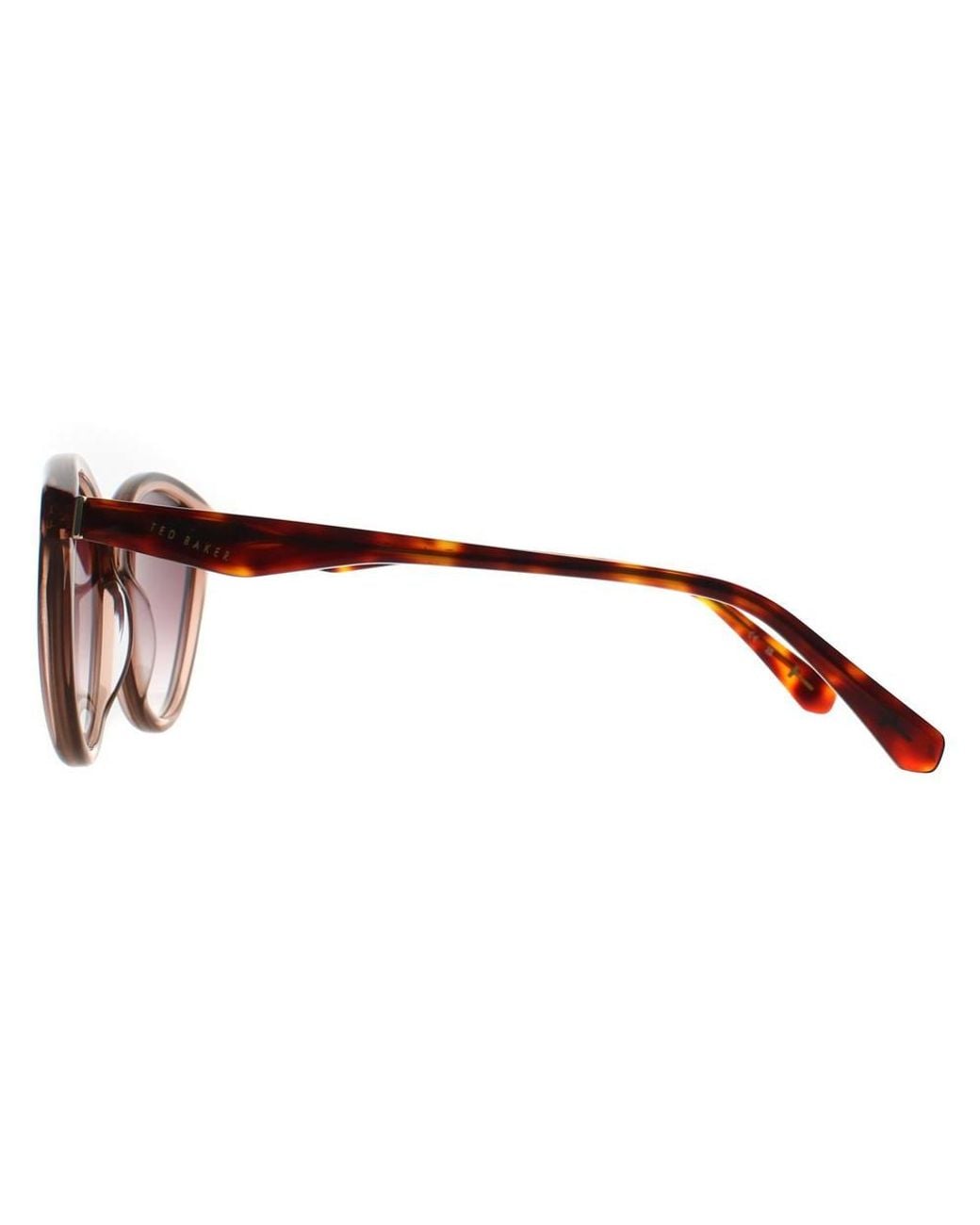 Ted Baker Brown Cat Eye Sunglass Crystal Gradient Tb1735 Deeha