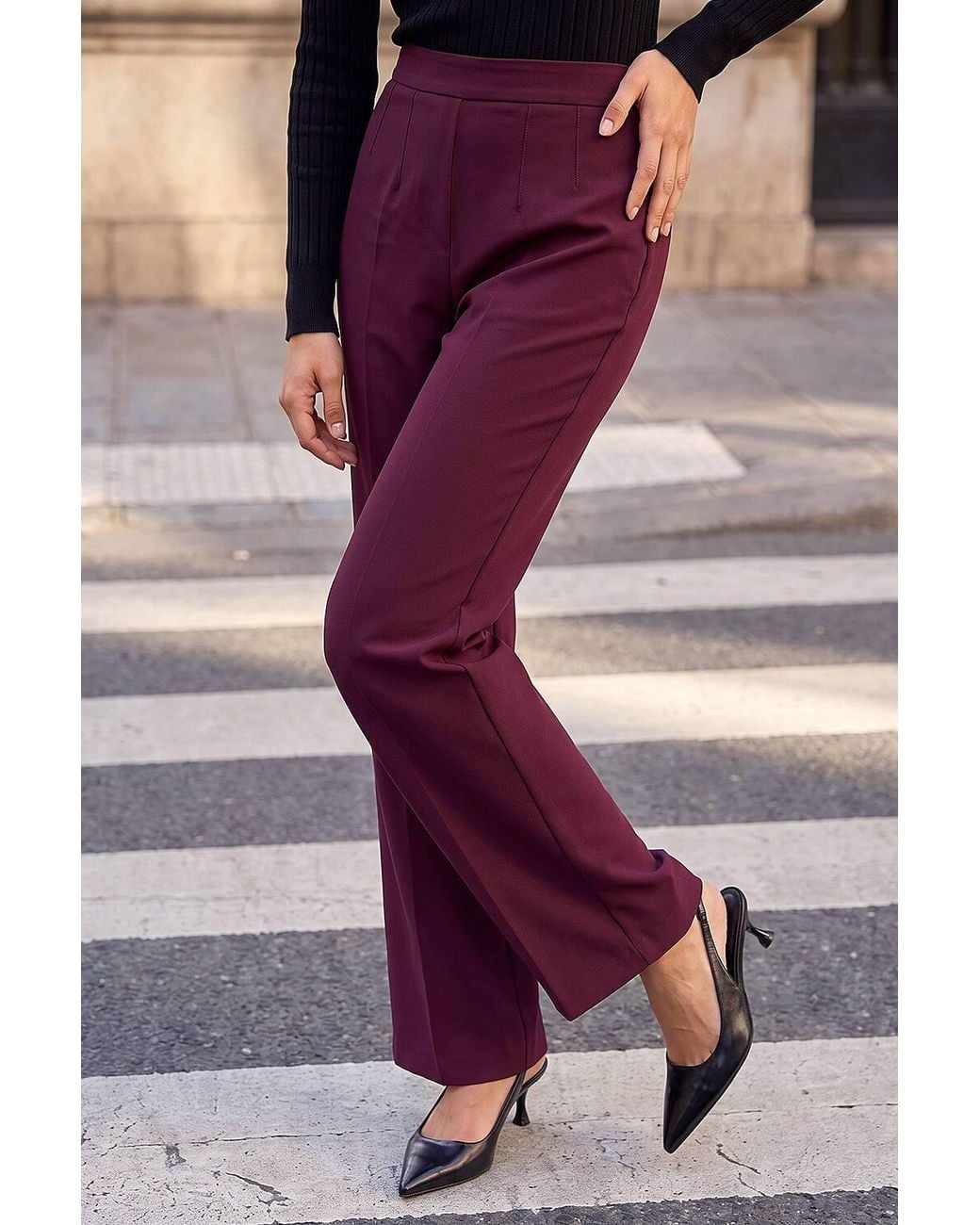 Roman Purple Petite Straight Leg Ponte Stretch Trouser
