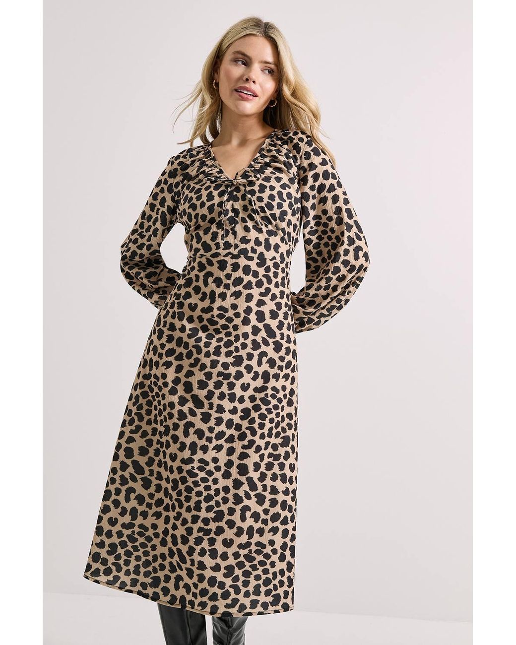 Dorothy Perkins Multicolor Printed Tie Neck Blouson Sleeve Midi Dress