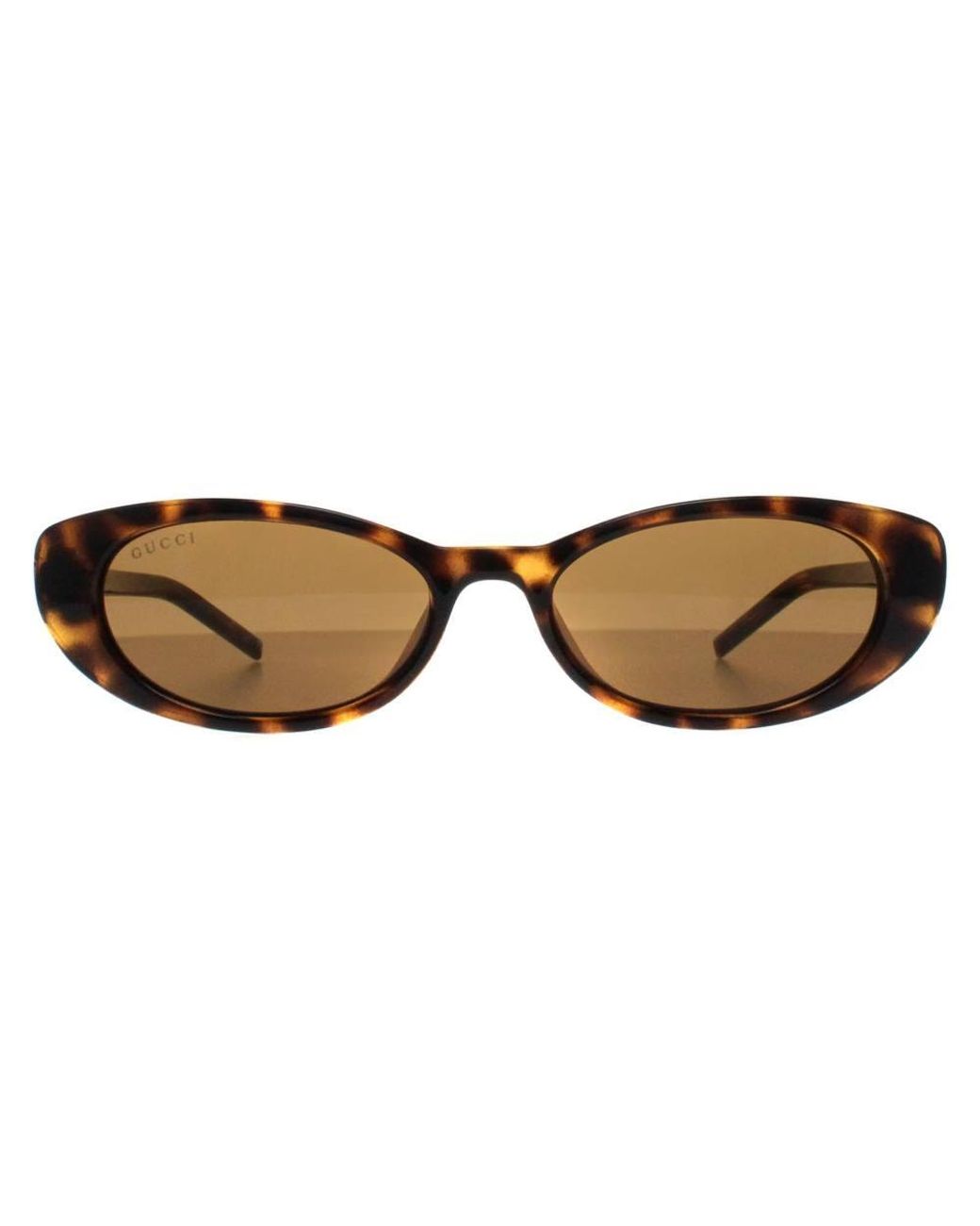 Gucci Brown Cat Eye Sunglass Havana Gg1680S