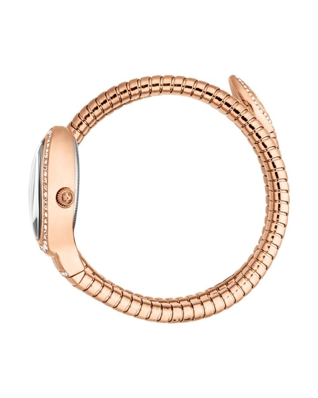 Just Cavalli Metallic Carezza Stainless Steel Case Stainless Steel Quartz