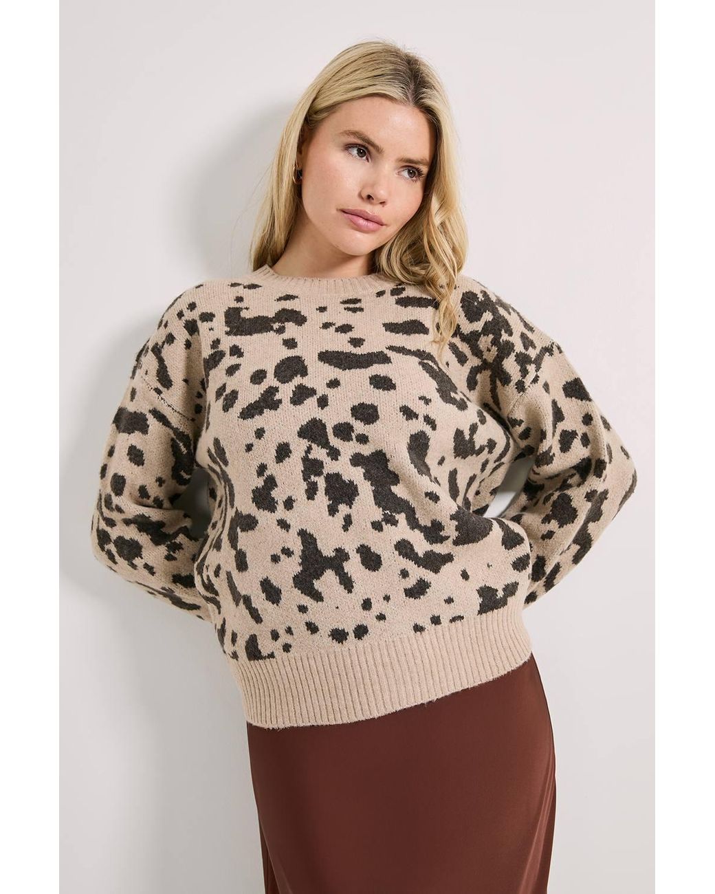 Dorothy Perkins Natural Animal Jacquard Crew Sweater