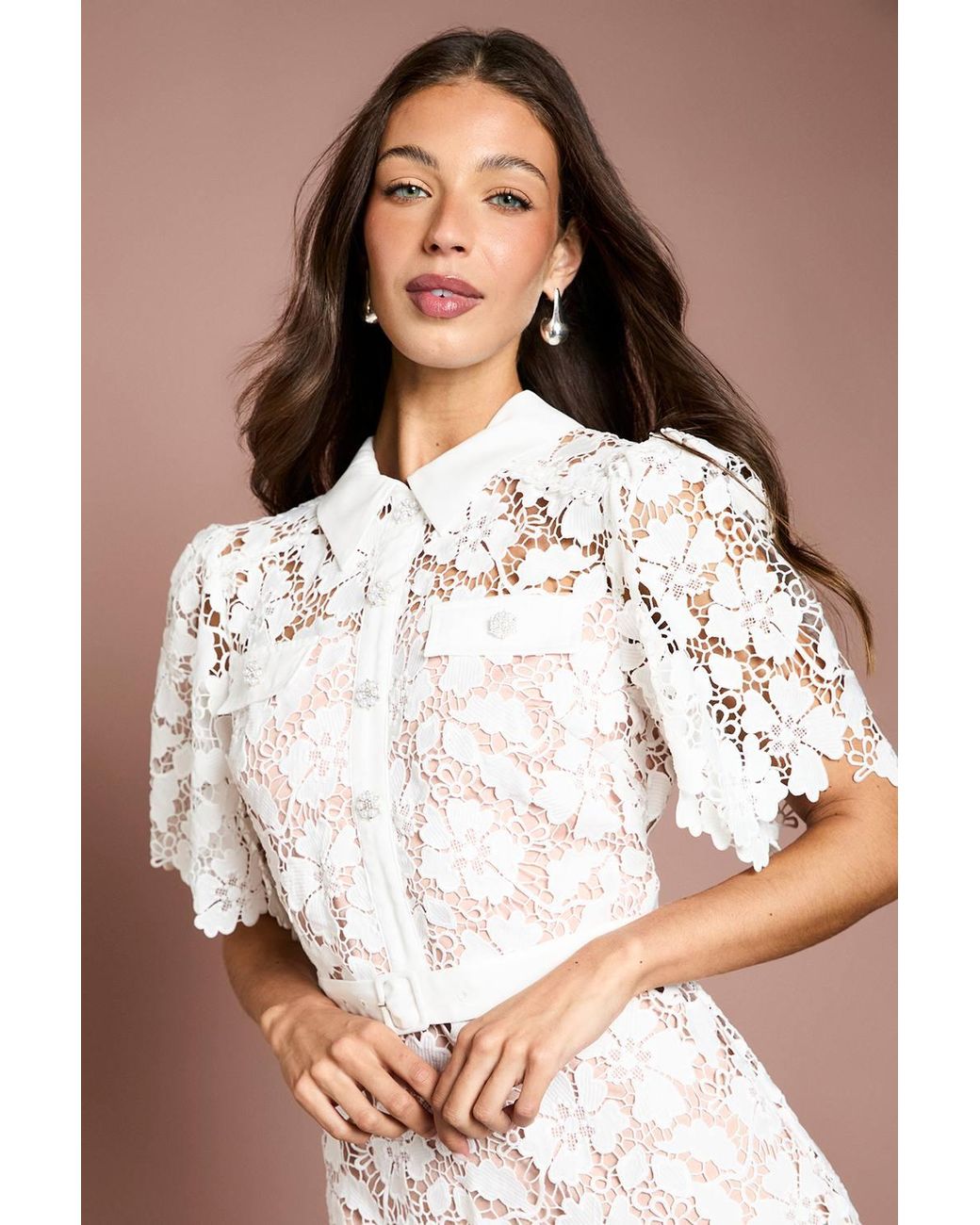 Coast Brown Lace Shirt Mini Belted Dress