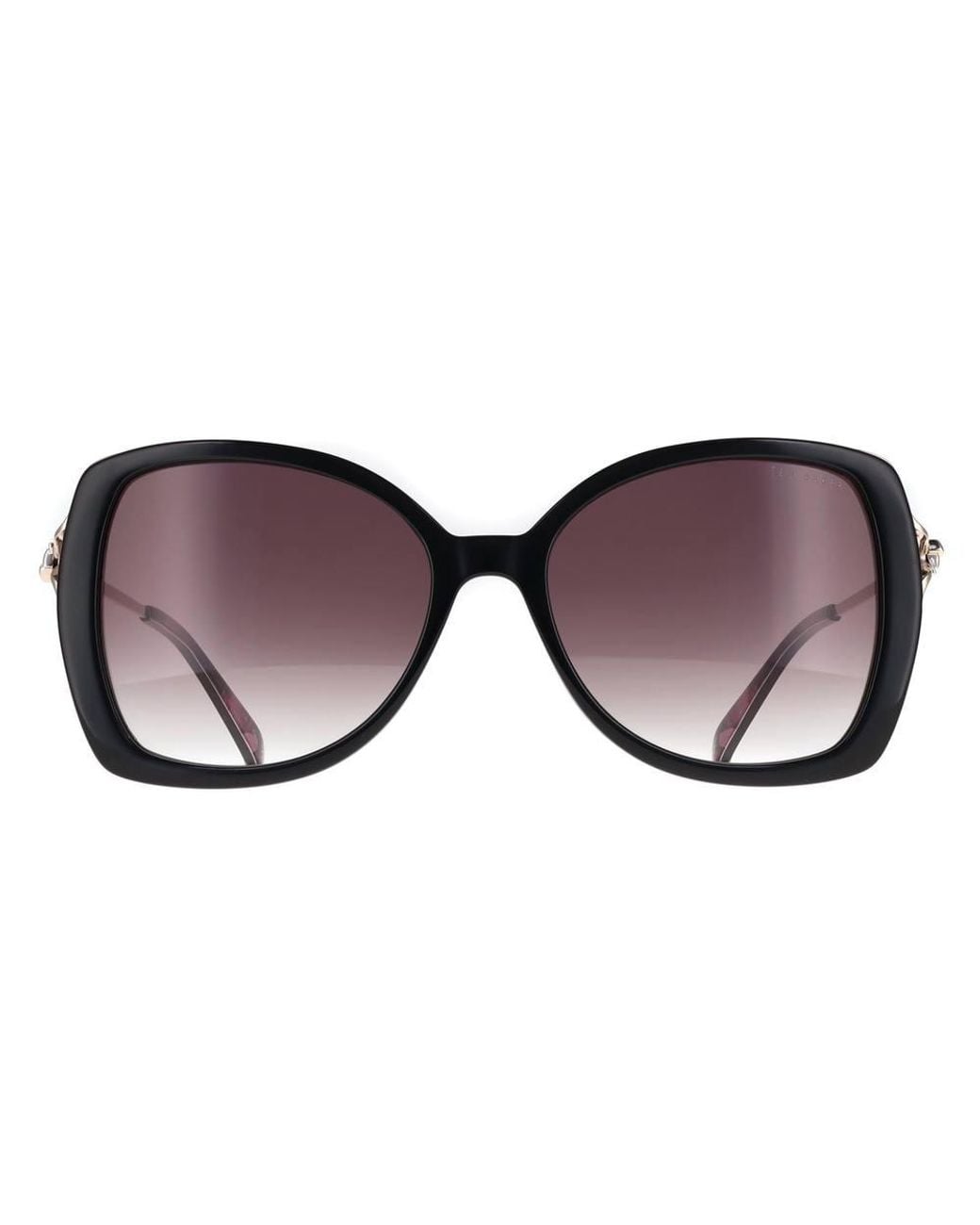 Ted Baker Brown Butterfly Gloss Solid Dark Gradient Tb1773 Vallie