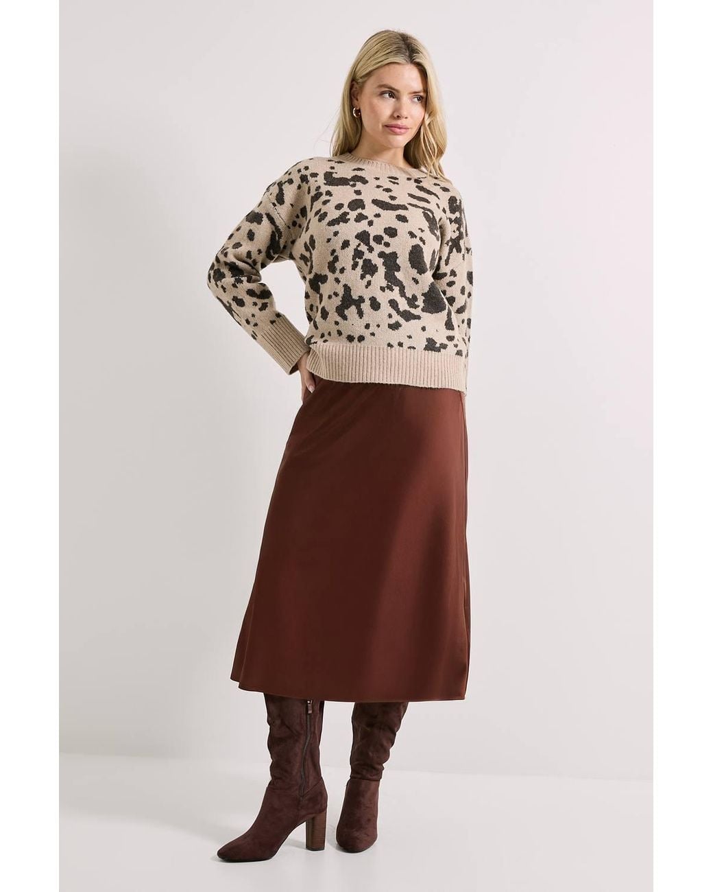 Dorothy Perkins Natural Animal Jacquard Crew Sweater