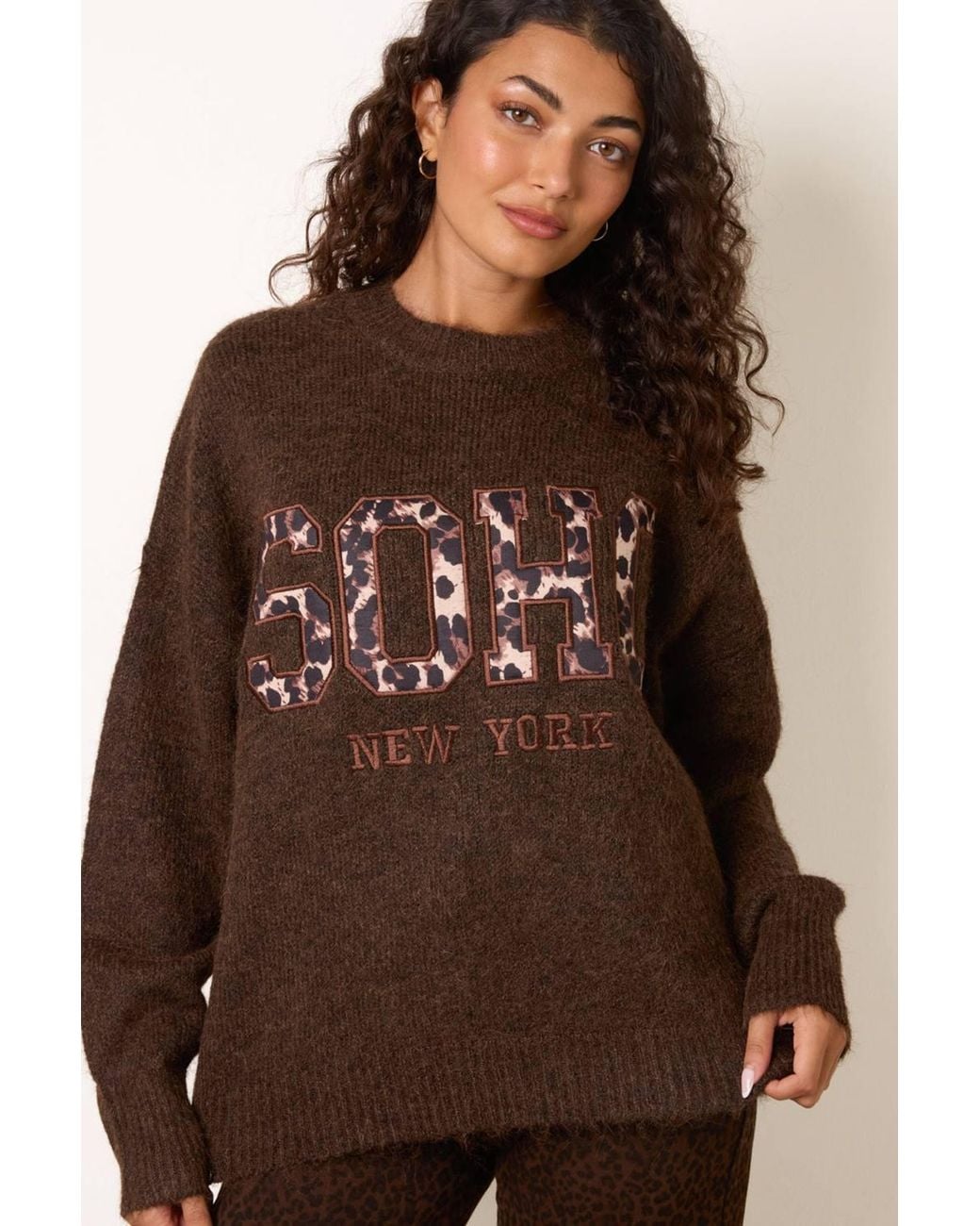Blue Vanilla Brown Long Sleeve Round Neck Jumper
