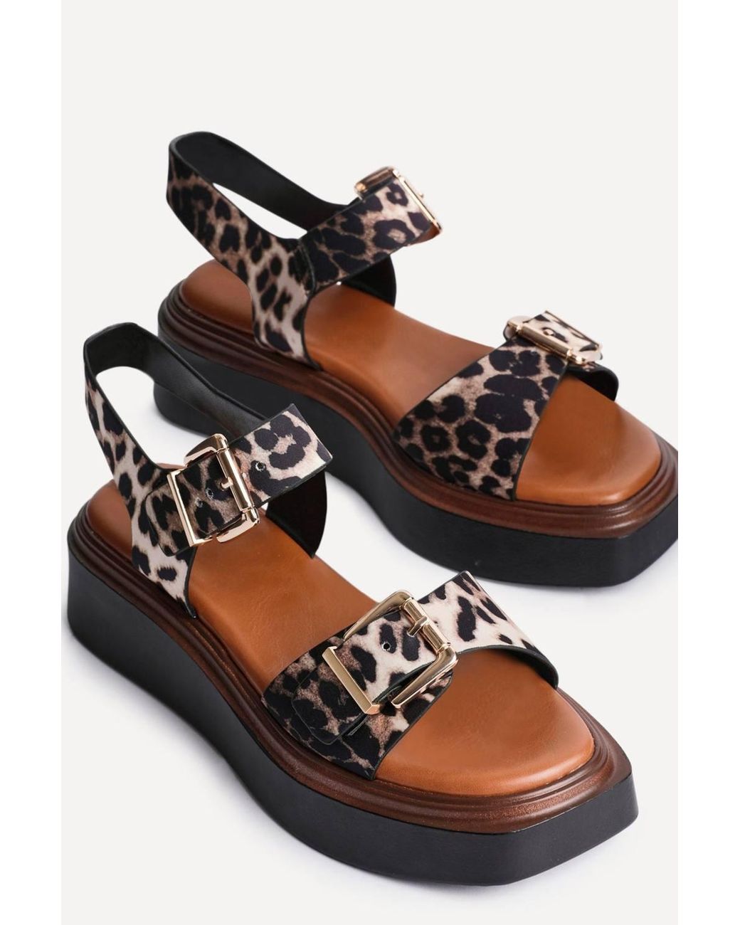 Linzi Black Preserve Leopard Flatform Sandals