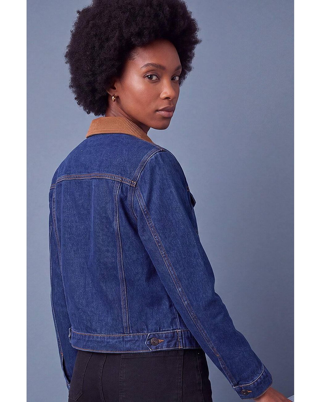 Roman Blue Cord Collar Denim Jacket