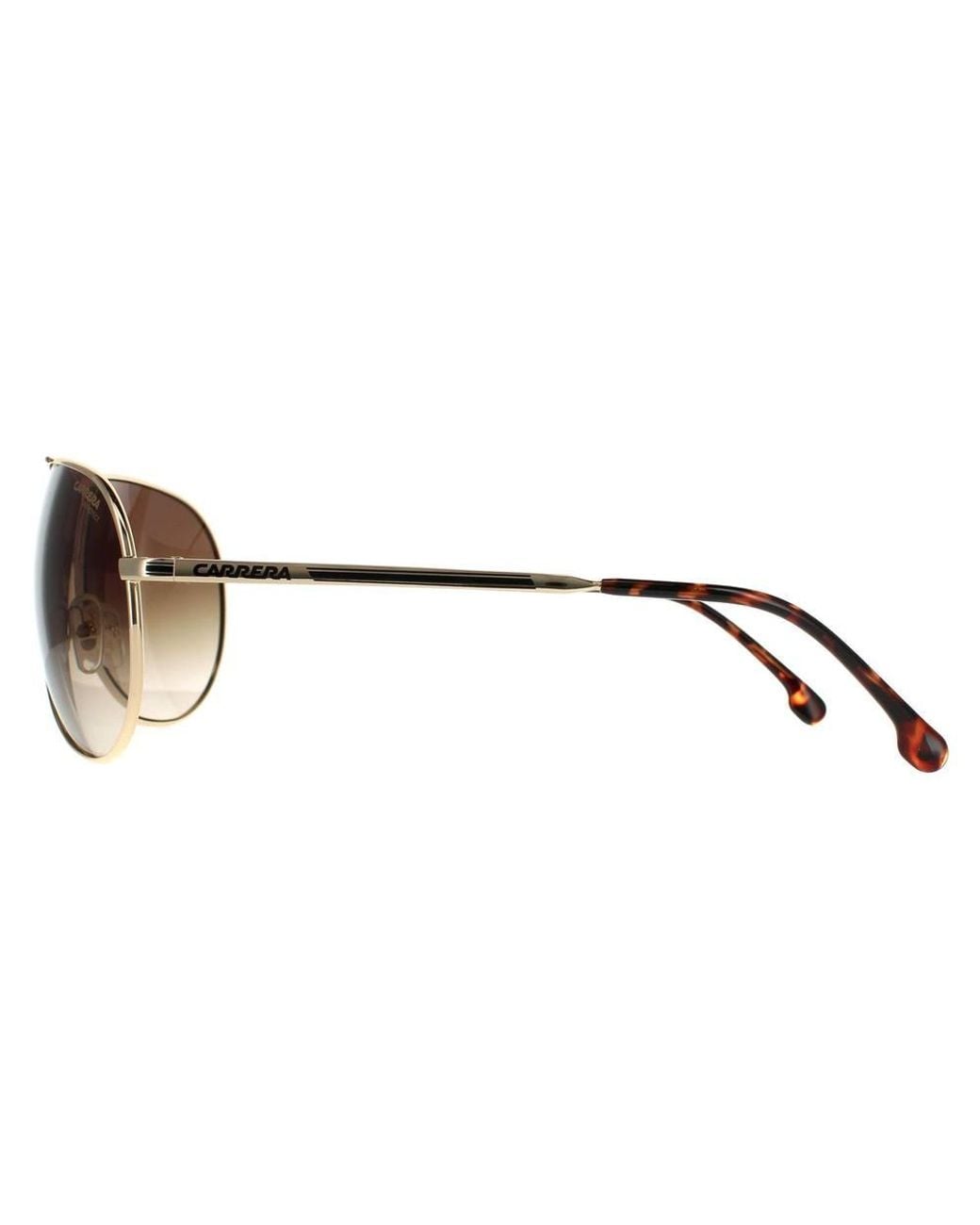 Carrera Brown Aviator Gradient