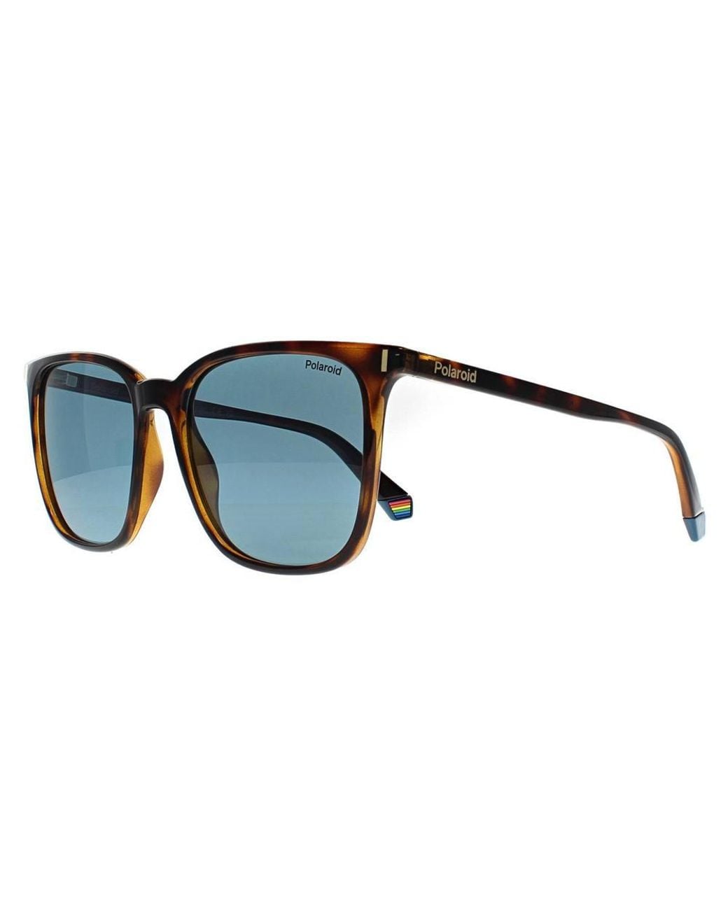 Polaroid Blue Square Havana Polarized Pld 6226/S