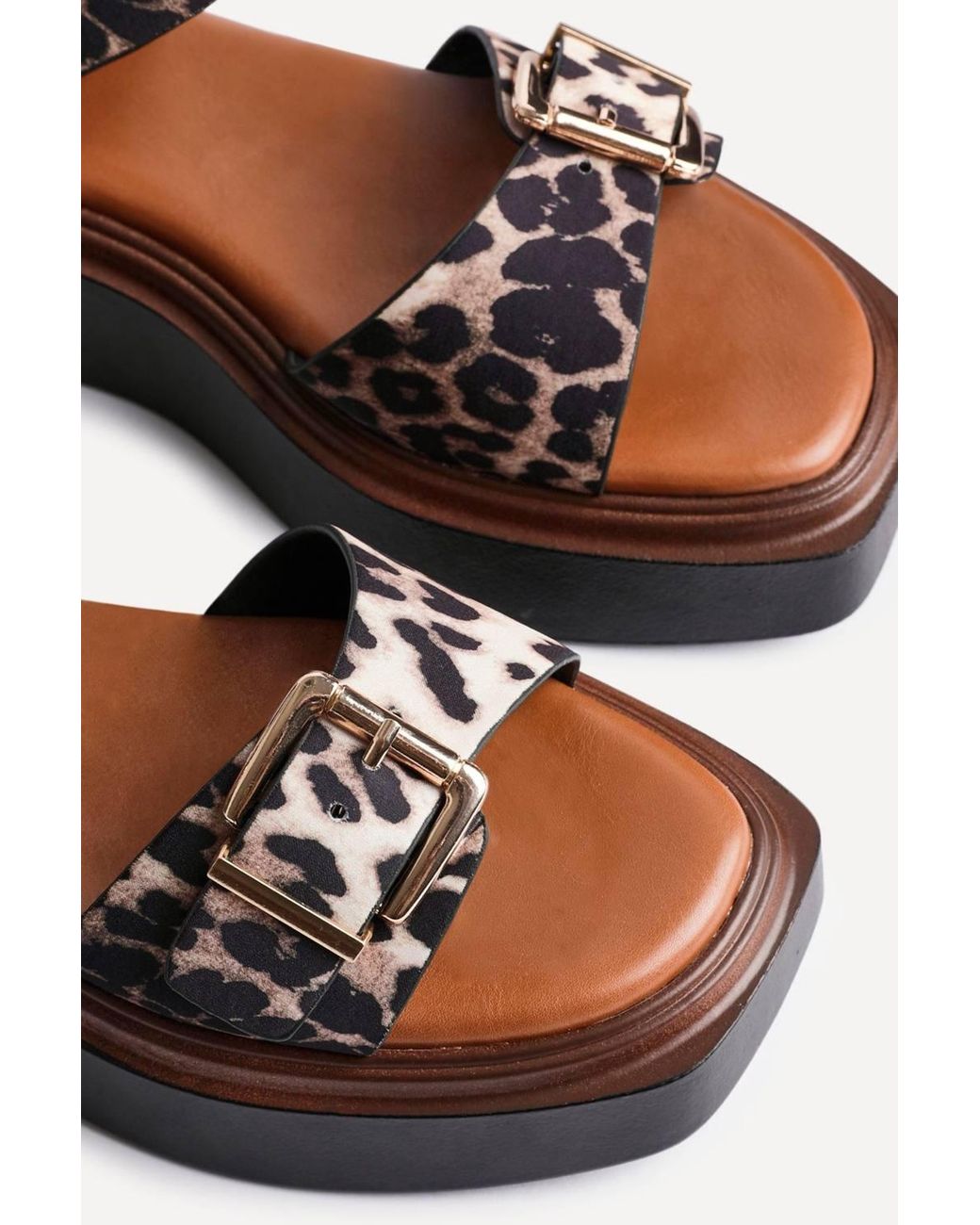 Linzi Black Preserve Leopard Flatform Sandals