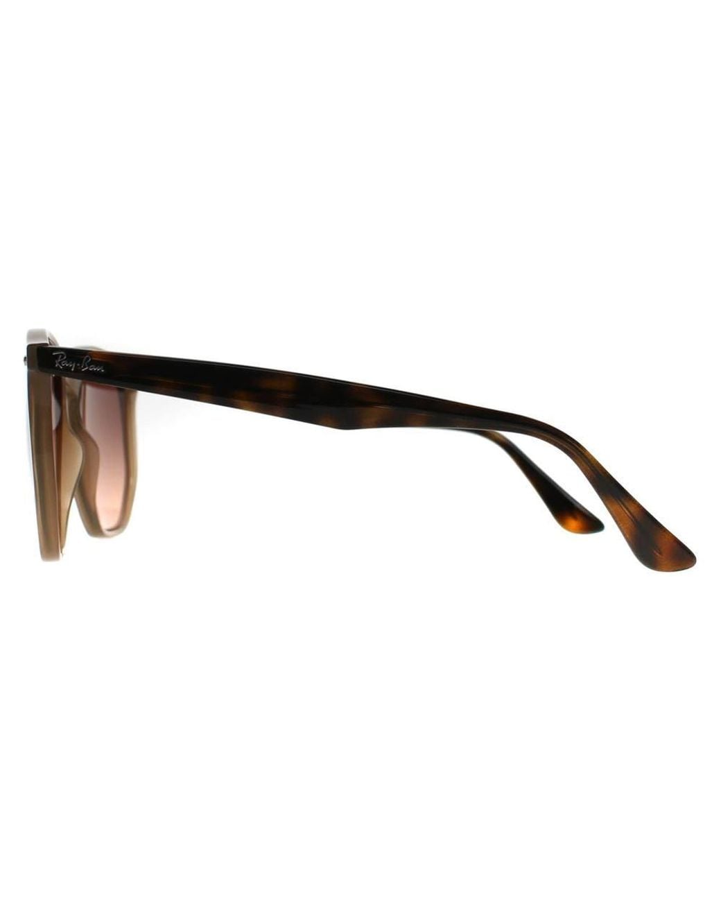 Ray-Ban Brown Round Polished Turtledove Gradient Rb4306