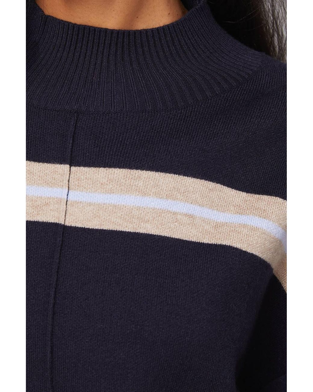 Wallis Blue Stripe Detail Funnel Neck Knitted Jumper