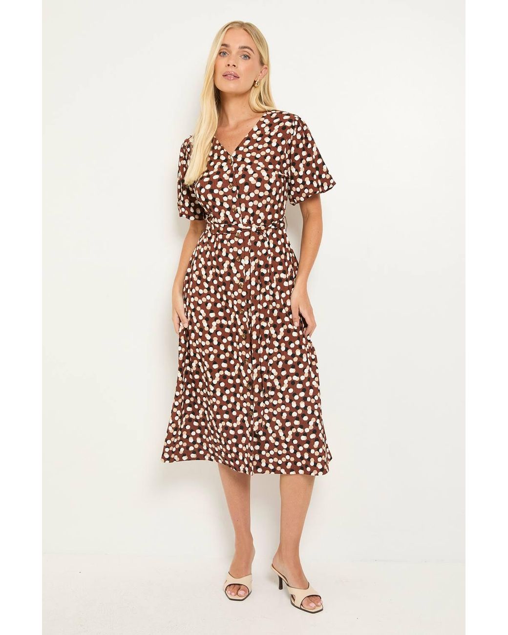 Wallis Brown Spot Petite Jersey Button Midi Dress