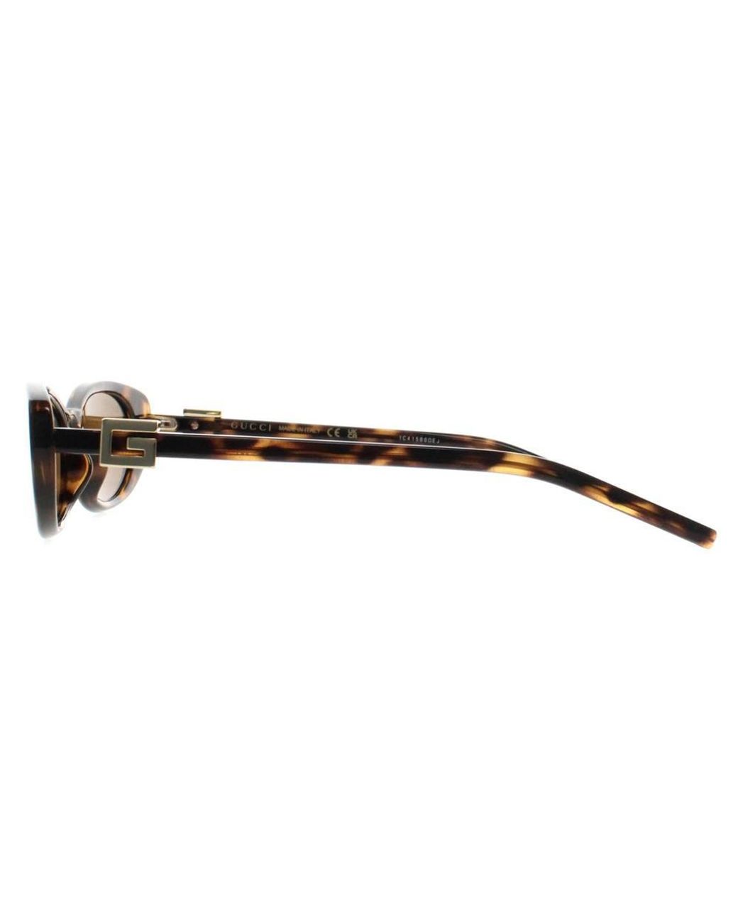 Gucci Brown Cat Eye Sunglass Havana Gg1680S