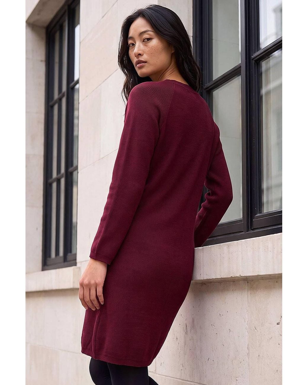 Roman Red Petite Button Detail Knit Dress