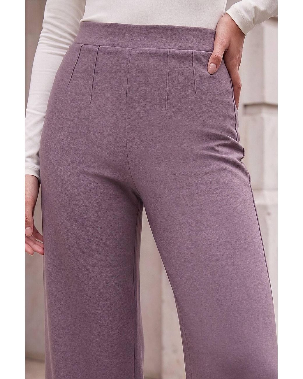 Roman Purple Petite Wide Leg Ponte Stretch Trouser
