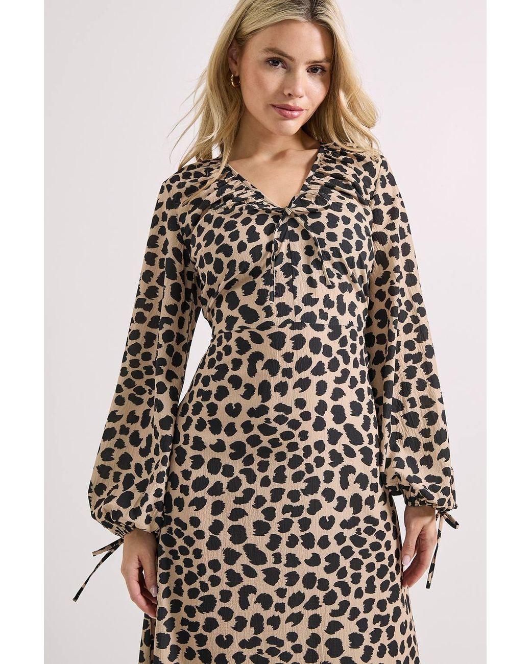 Dorothy Perkins Multicolor Printed Tie Neck Blouson Sleeve Midi Dress