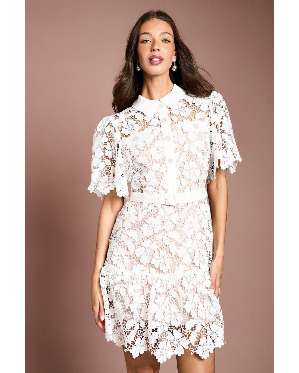Coast Brown Lace Shirt Mini Belted Dress