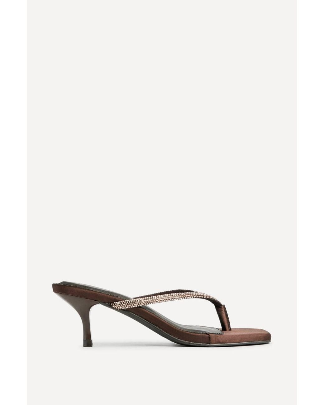 Linzi Brown Runway Embellished Mule Heels