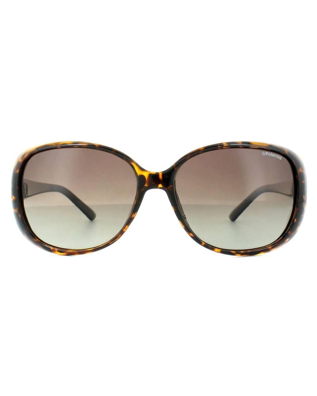 Polaroid Brown Fashion Havana Gradient Polarized Sunglasses