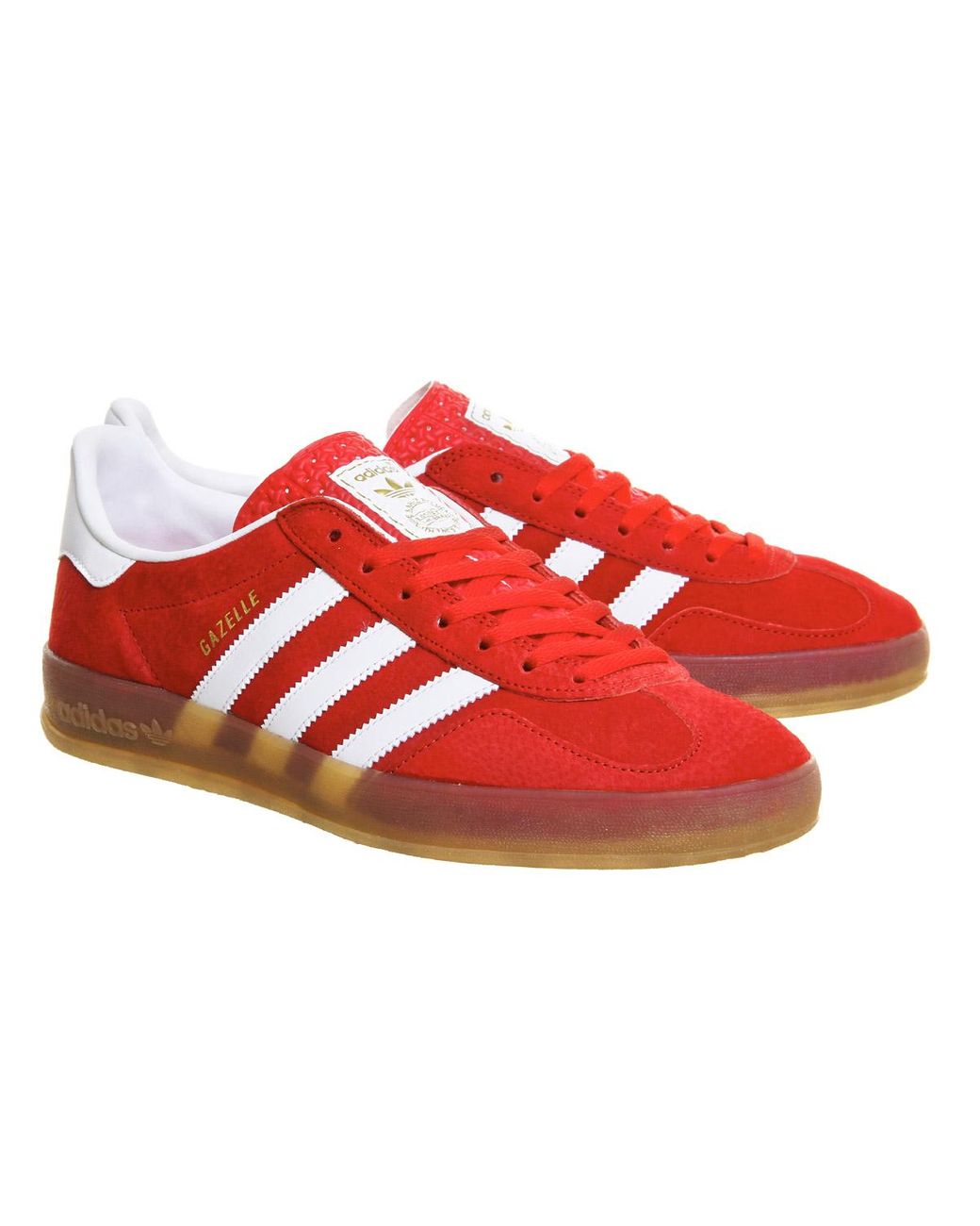 gazelle indoor red