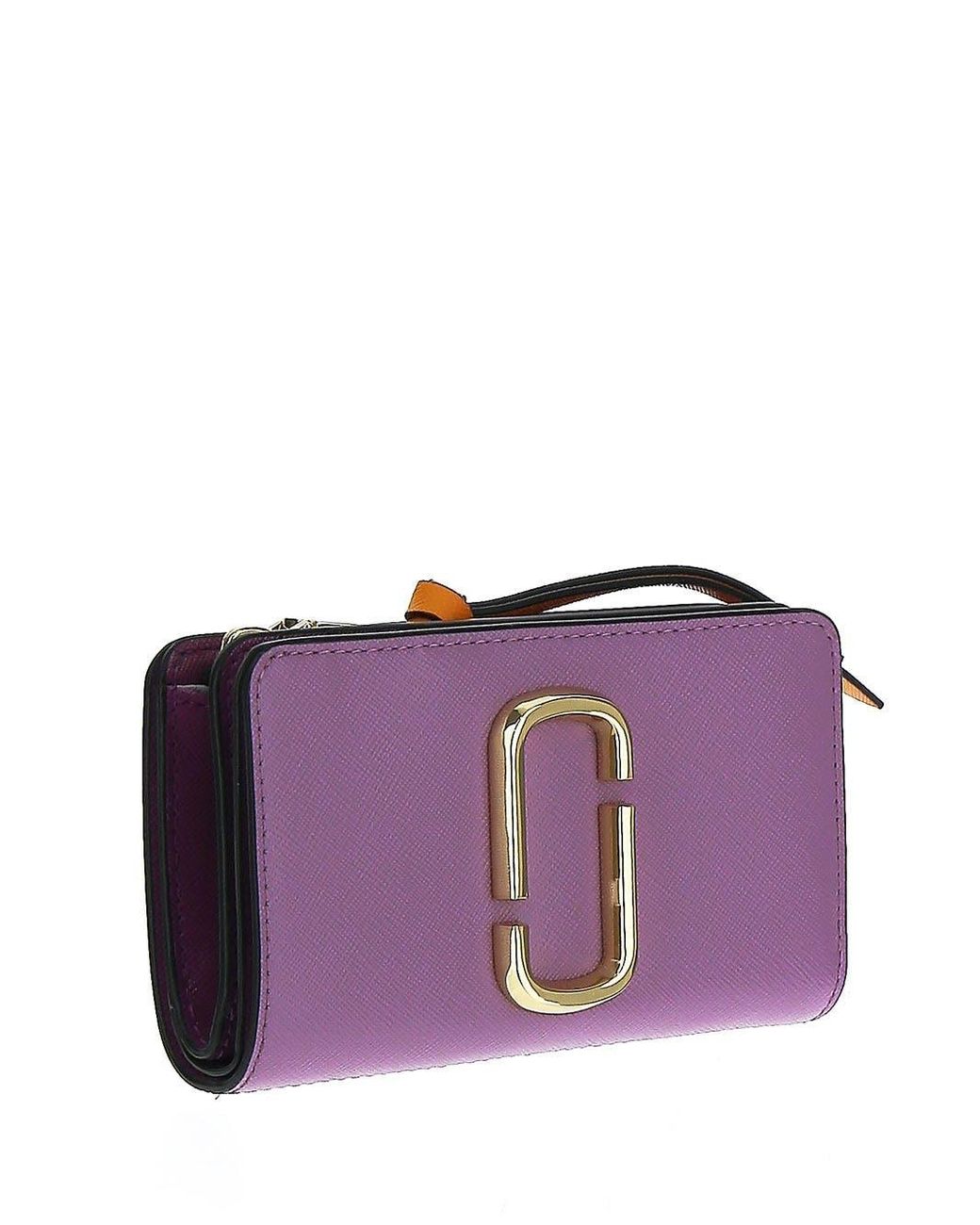 The snapshot online compact wallet