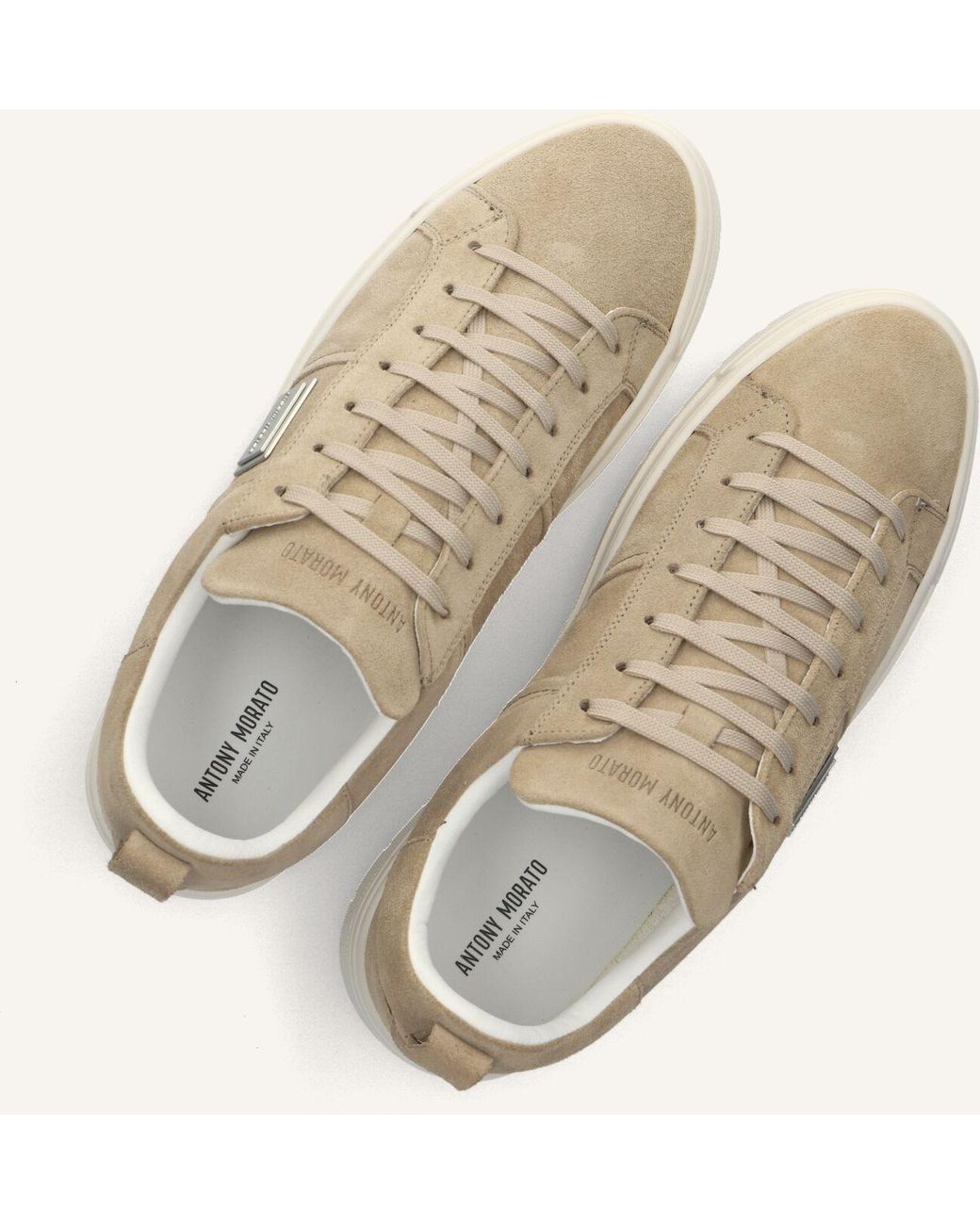 Antony Morato Herren Sneaker Moose Mmfw01880 in Black für Herren
