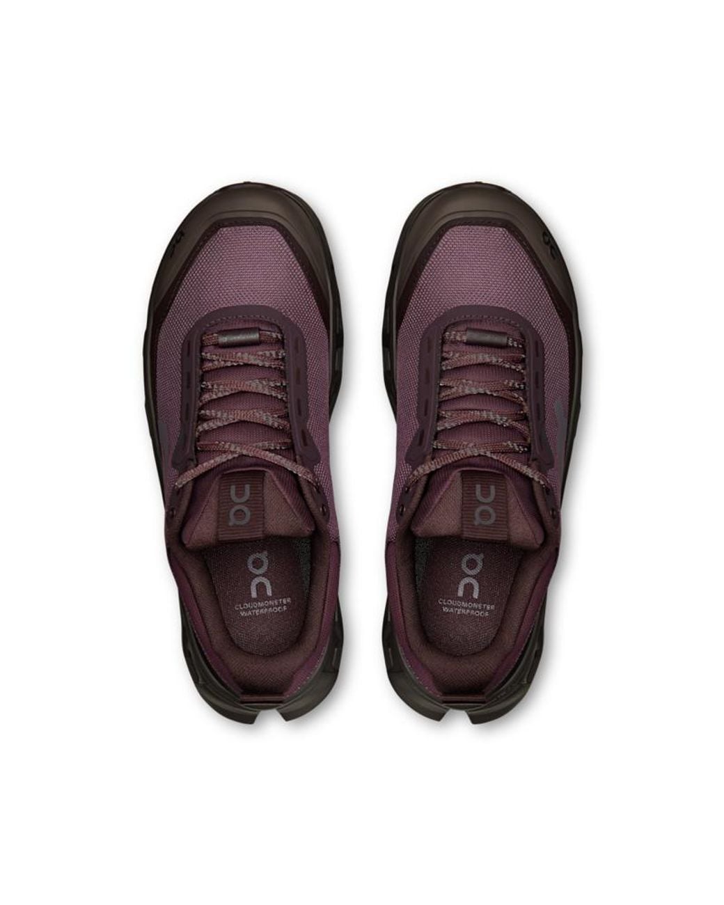 On Shoes Brown Cloudmster 1 Waterproof