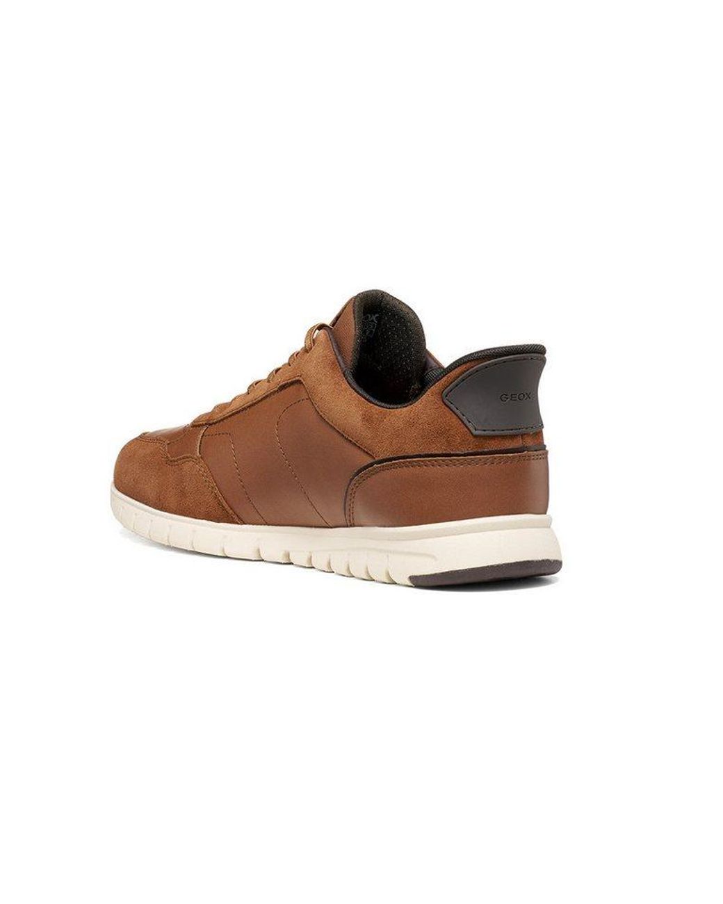 Geox Flextridezero Plus Sneaker in Brown für Herren