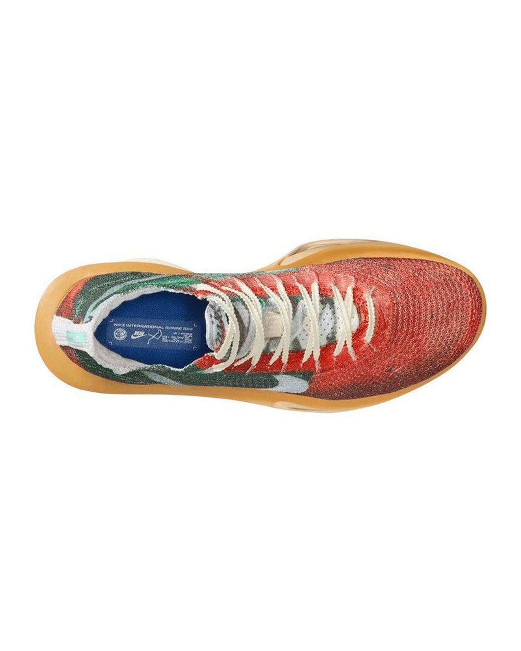 Nike Performance Laufschuh in Multicolor für Herren