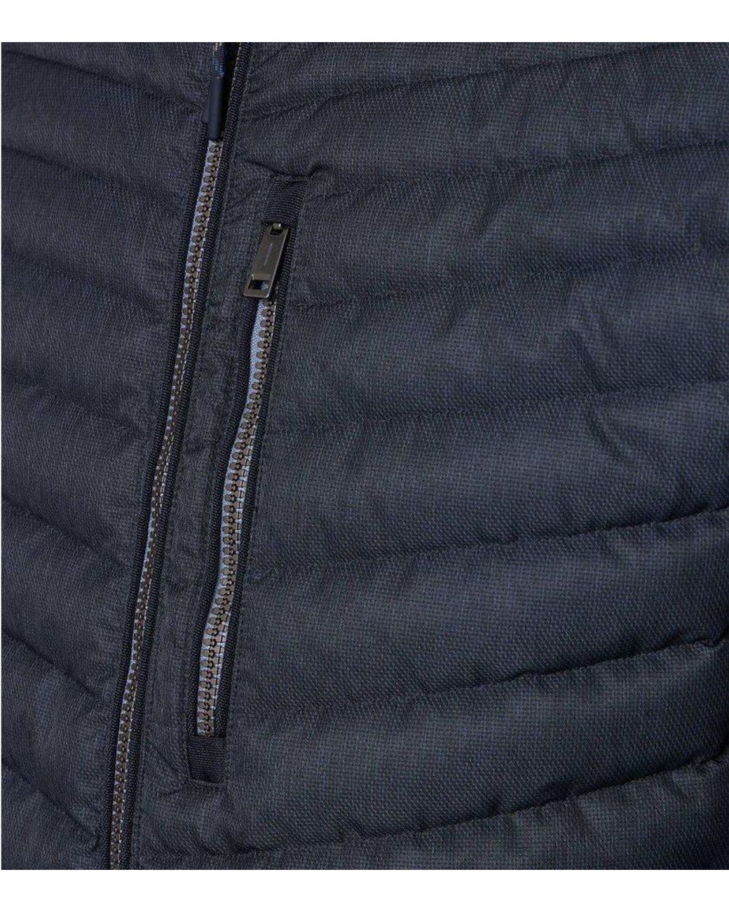 CASA MODA Steppjacke in Blue für Herren