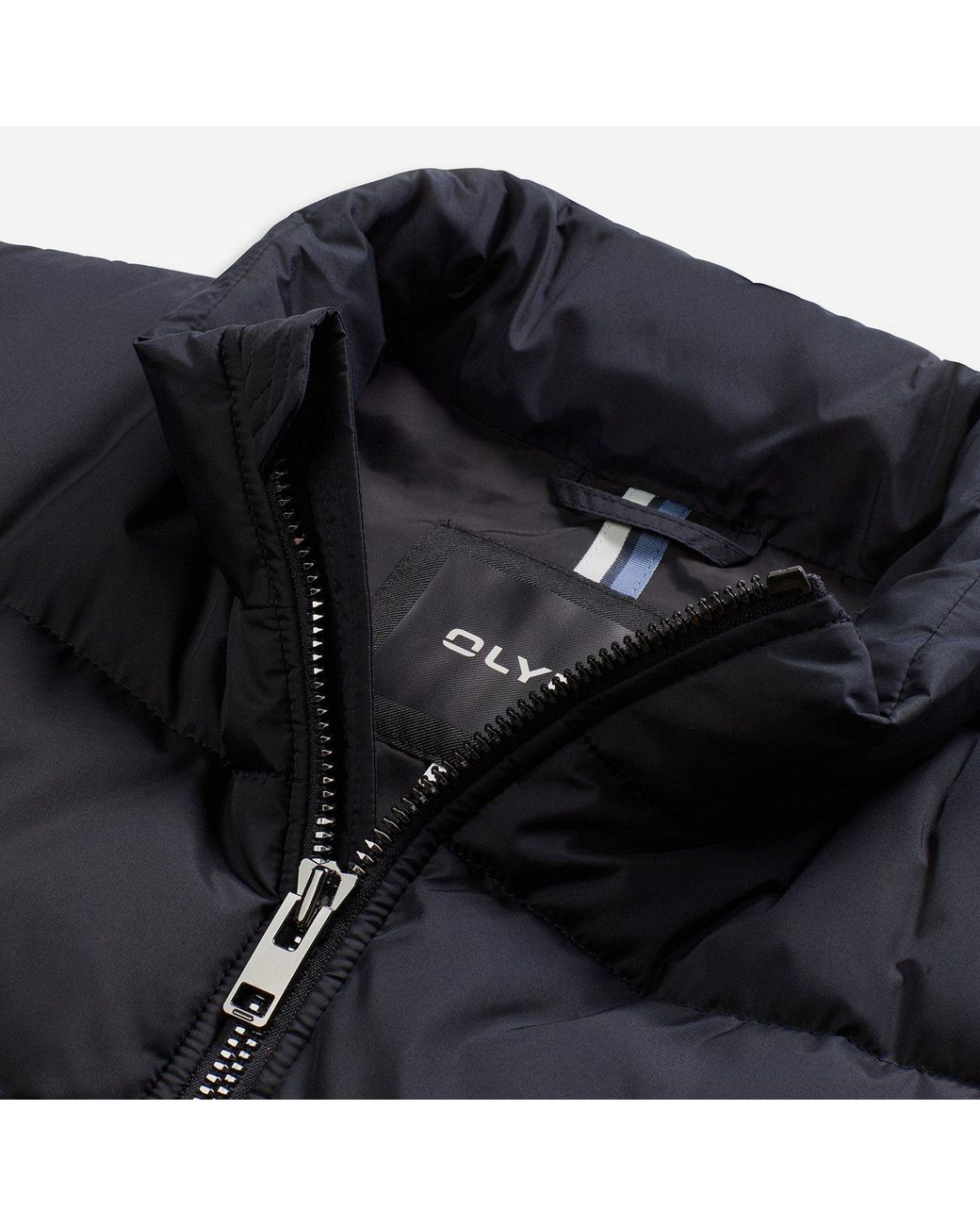 Olymp Steppjacke in Blue für Herren
