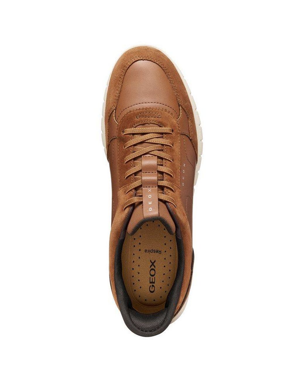 Geox Flextridezero Plus Sneaker in Brown für Herren
