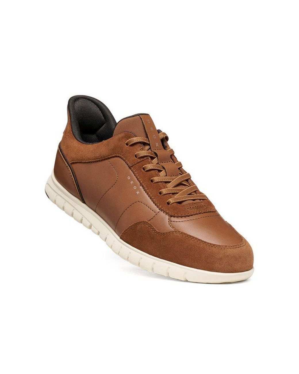 Geox Flextridezero Plus Sneaker in Brown für Herren