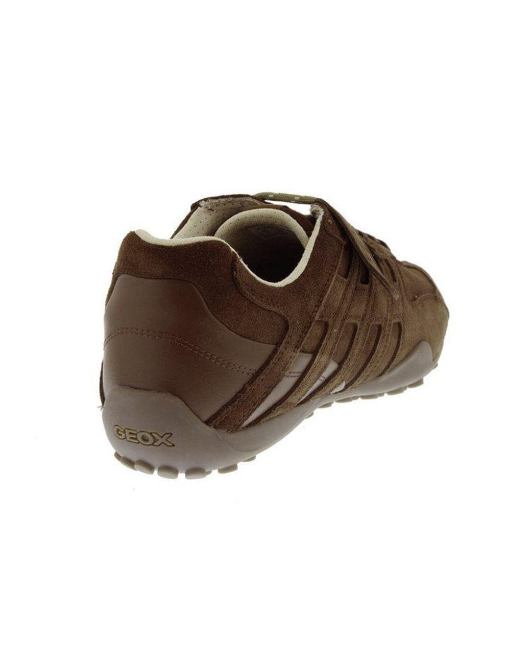 Geox Snake Sneaker in Brown für Herren