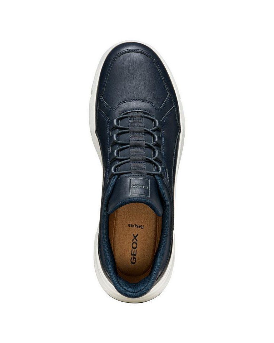 Geox Vittour Plus Sneaker in Blue für Herren
