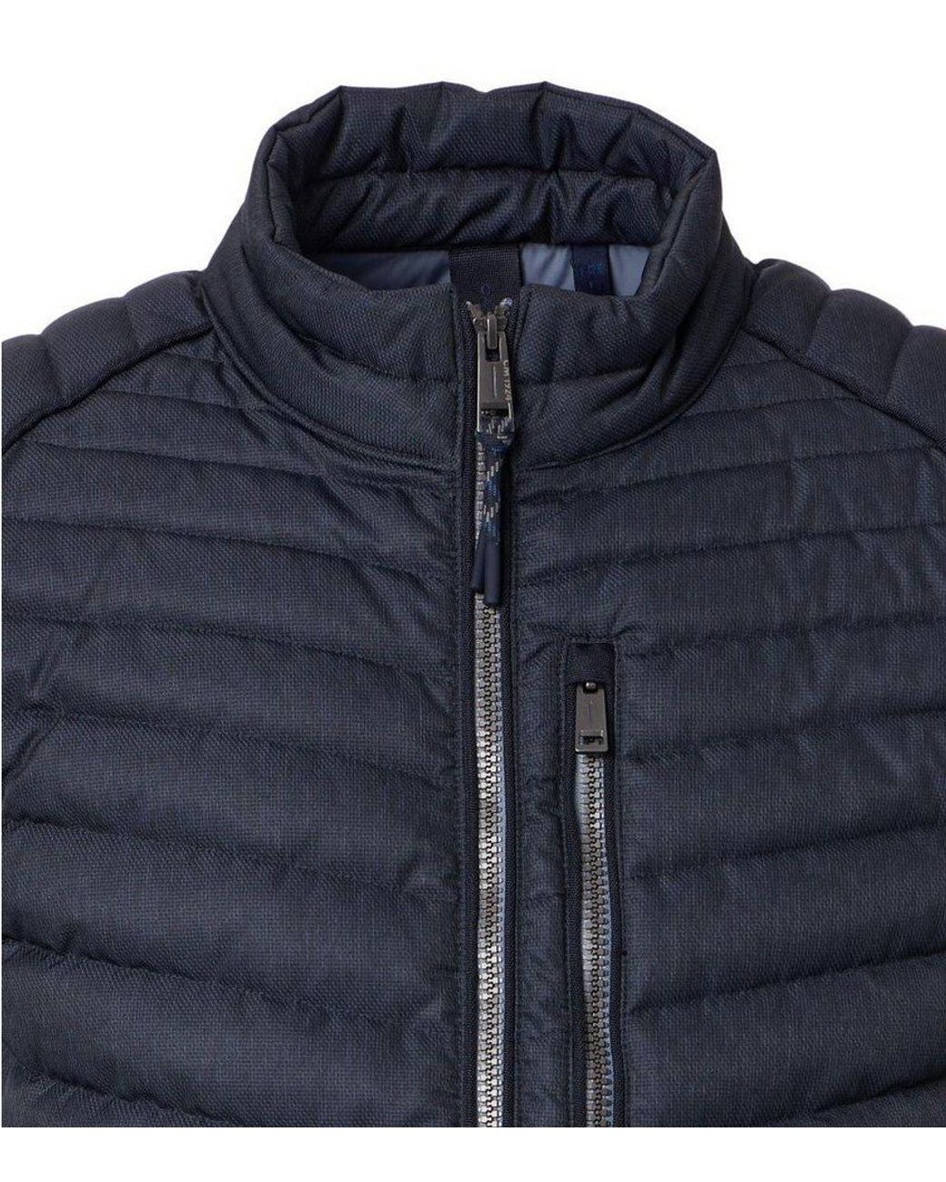CASA MODA Steppjacke in Blue für Herren
