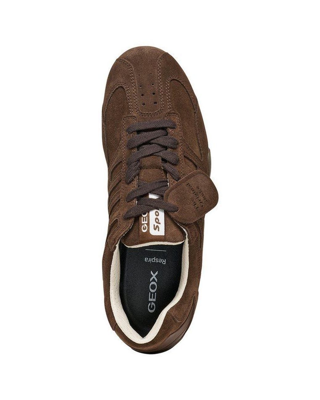 Geox Snake Sneaker in Brown für Herren