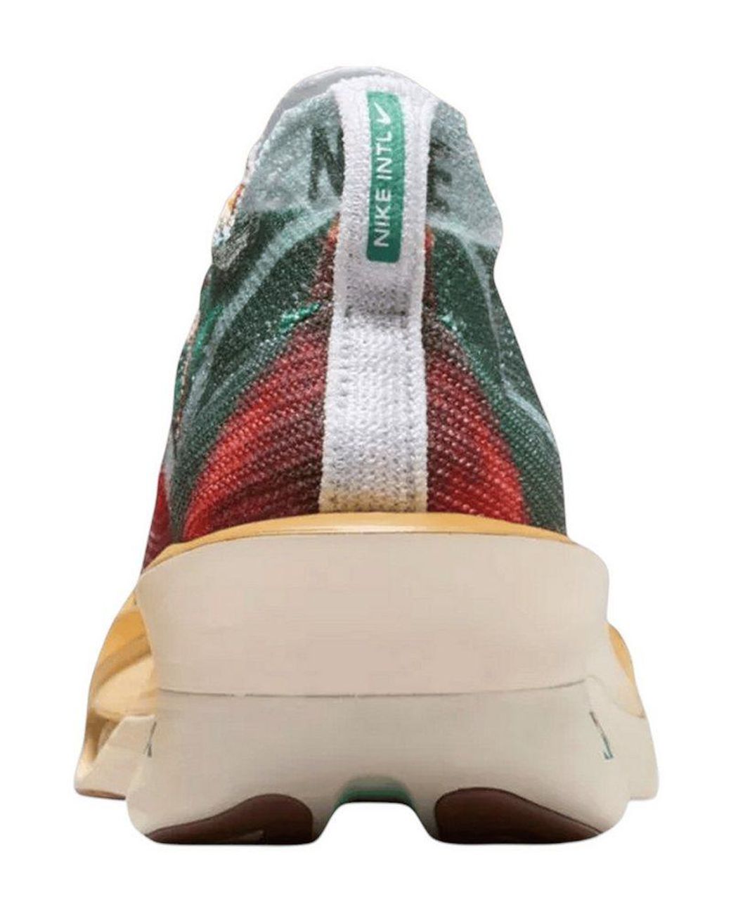 Nike Performance Laufschuh in Multicolor für Herren