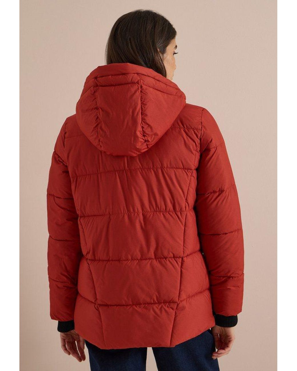 Cecil Purple Softshelljacke Mit Kapuze