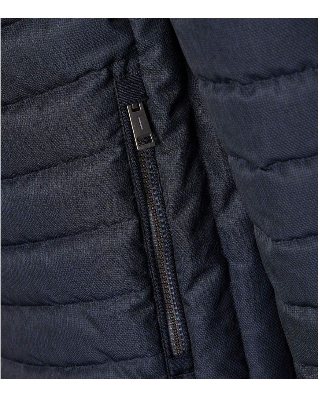 CASA MODA Steppjacke in Blue für Herren
