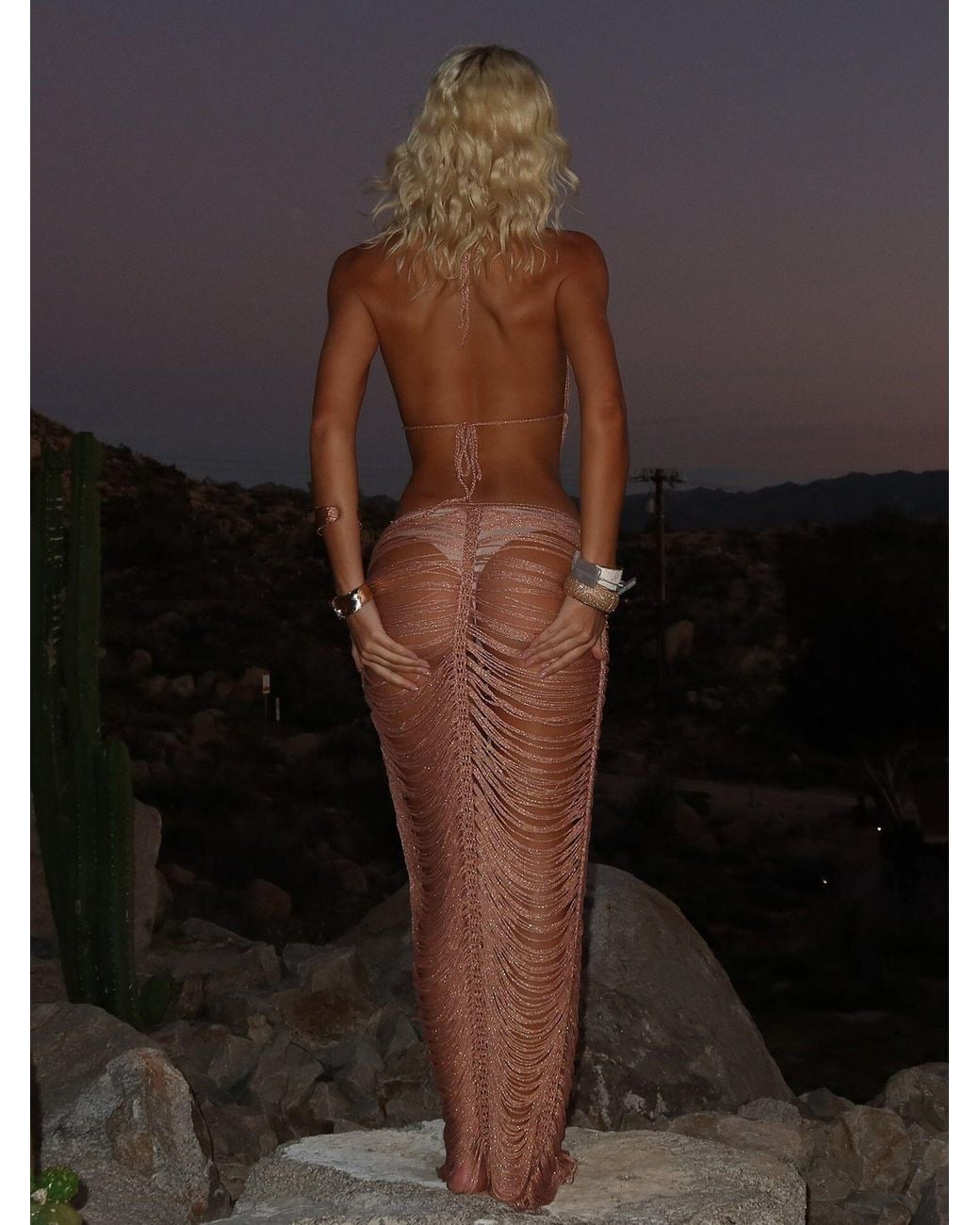 Outcast Brown Kaelani Maxi Dress Rose