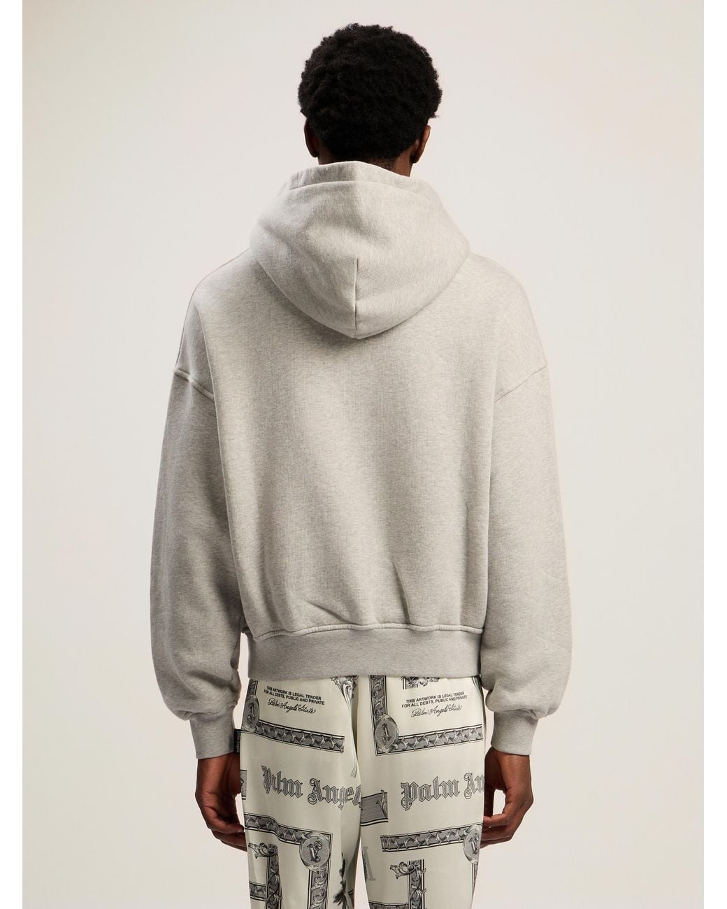 Palm Angels Natural Snake Graphic Hoodie Melange for men