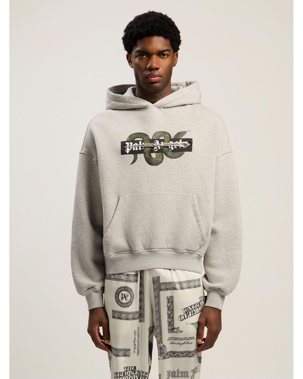 Palm Angels Natural Snake Graphic Hoodie Melange for men