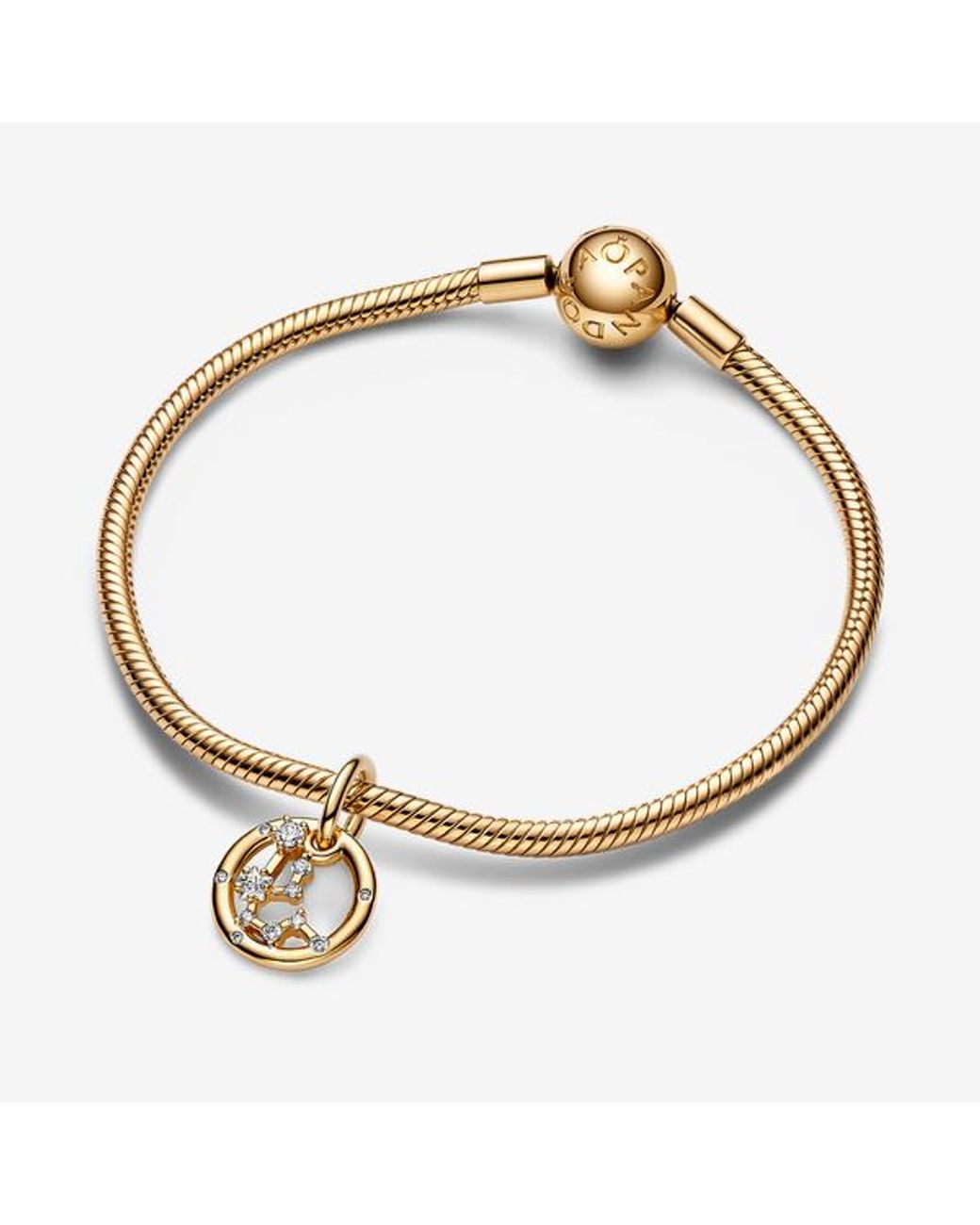 Pandora Metallic Aquarius Zodiac Dangle Charm