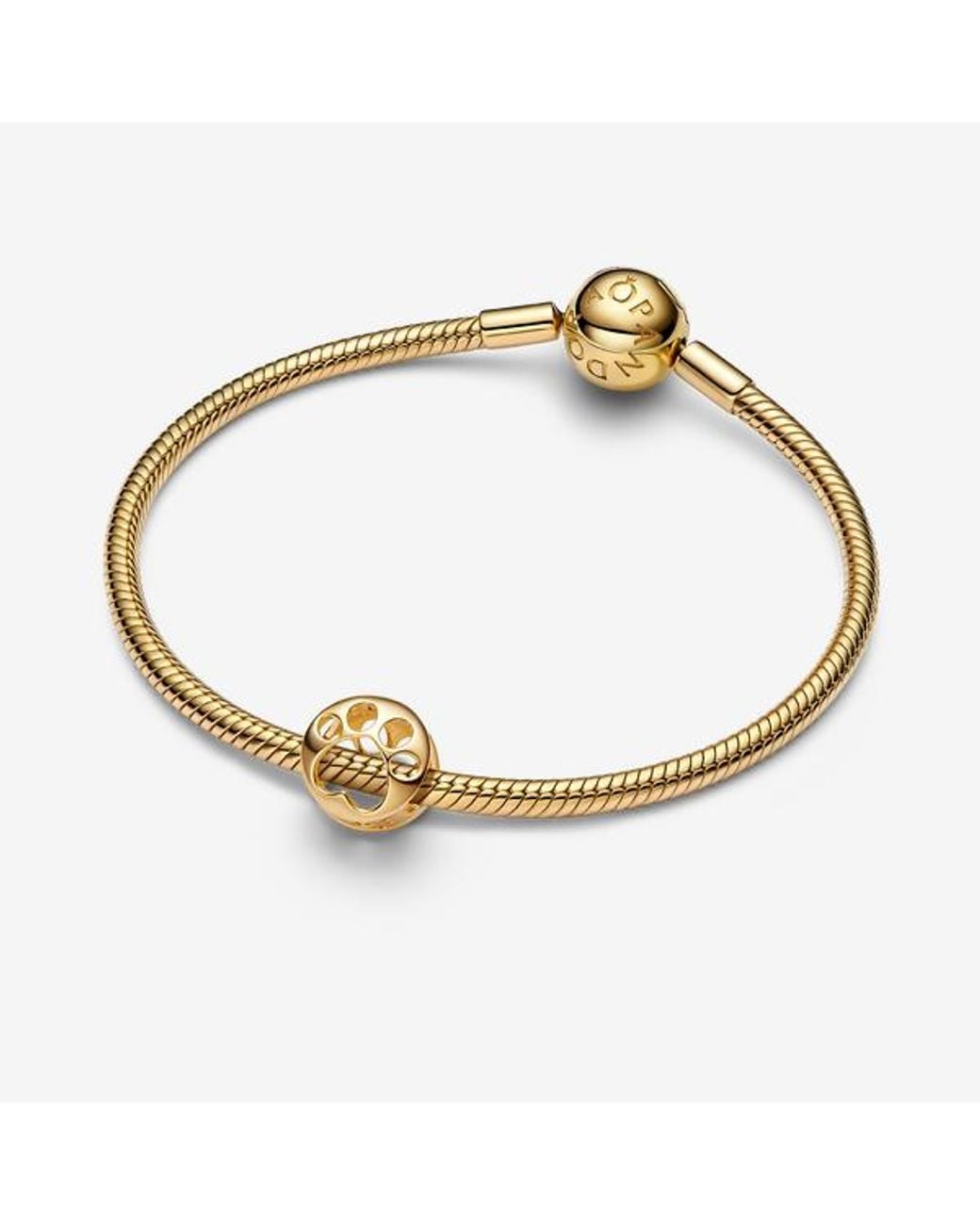 Pandora Metallic Openwork Paw Charm