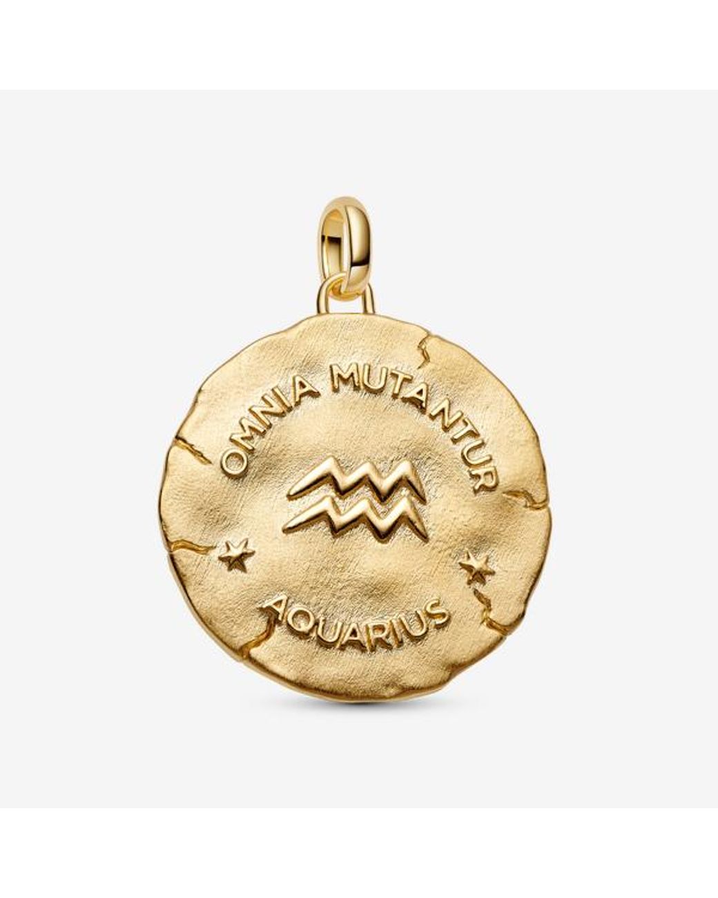 Pandora Metallic Aquarius Zodiac Oversized Medallion Charm
