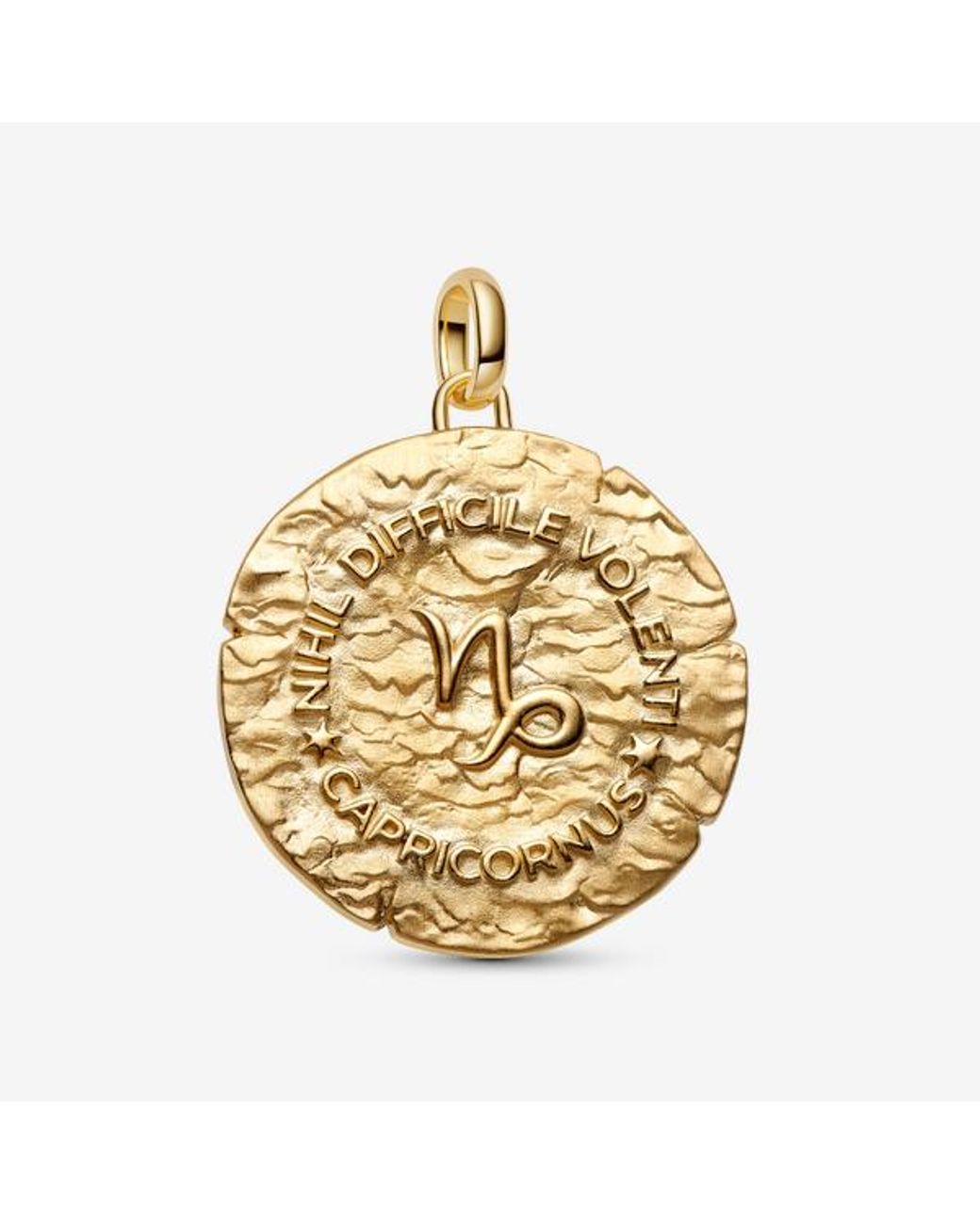 Pandora Metallic Capricorn Zodiac Oversized Medallion Charm